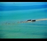 Grenen, Skagen by Juimmy Lind Sorensen-Visit Denmark